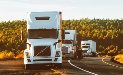 hangi-kargo-sirketi-canli-hayvan-tasiyor